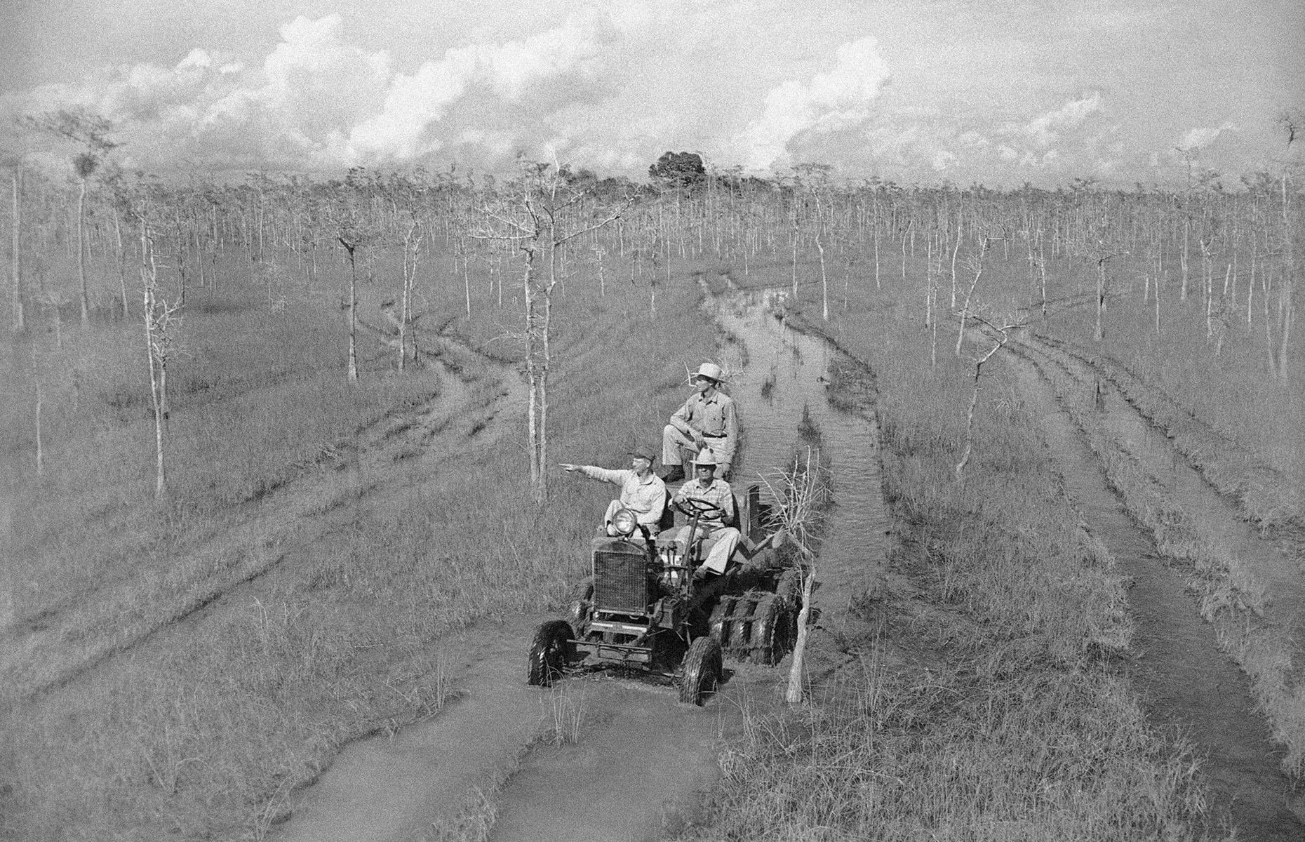 Then: Everglades National Park